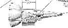 Transmission Sump